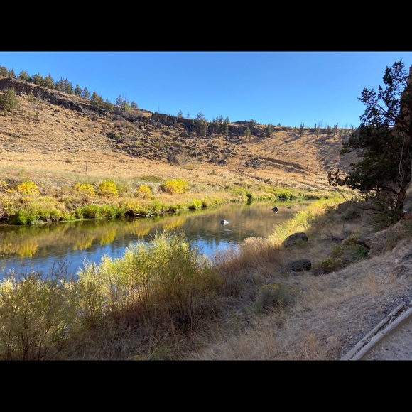 Meet your Posher, Victoria - Picture 1 of 1